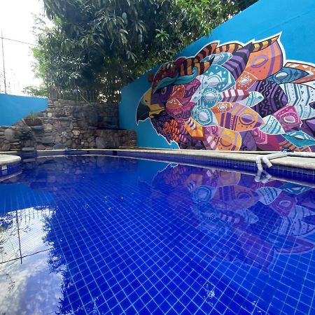 Wandering Monkey Guesthouse Mazatlan Dış mekan fotoğraf