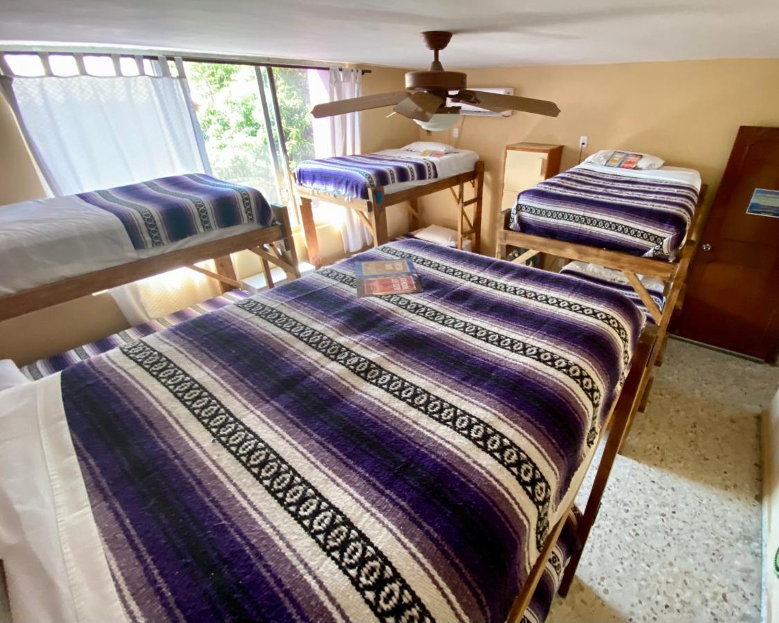 Wandering Monkey Guesthouse Mazatlan Dış mekan fotoğraf