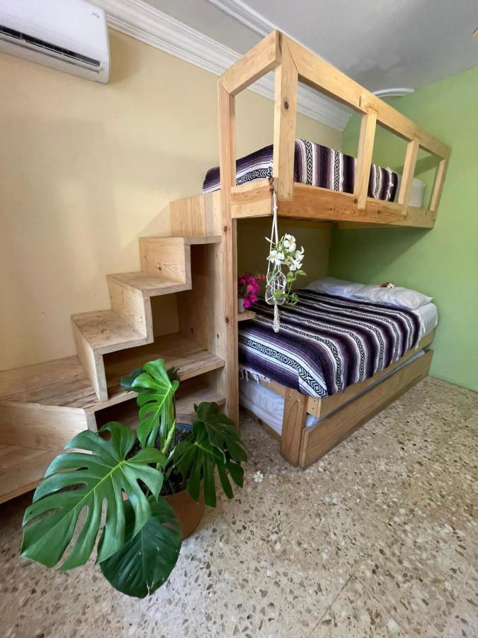 Wandering Monkey Guesthouse Mazatlan Dış mekan fotoğraf