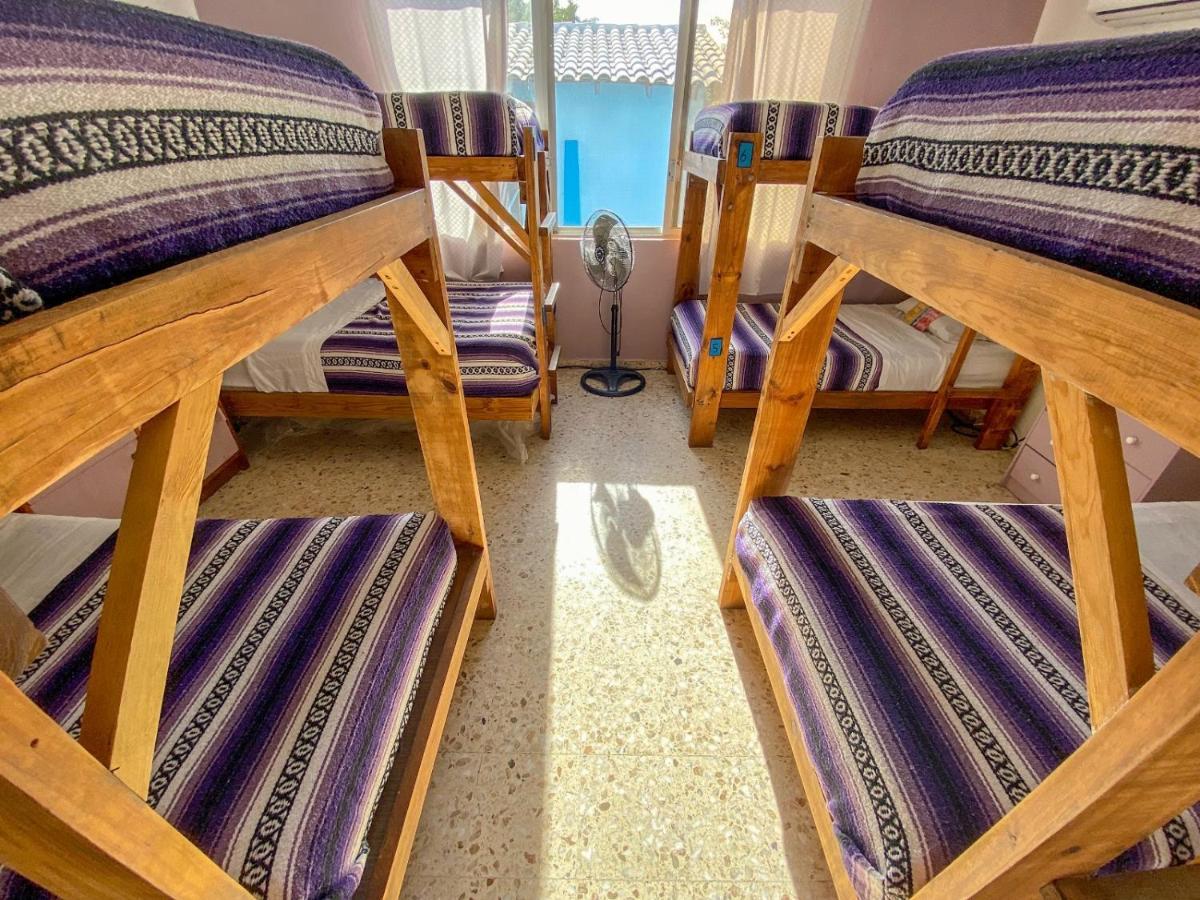 Wandering Monkey Guesthouse Mazatlan Dış mekan fotoğraf