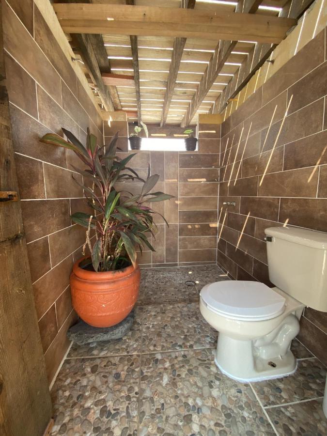 Wandering Monkey Guesthouse Mazatlan Dış mekan fotoğraf